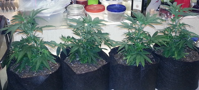 20131021_080259.jpg