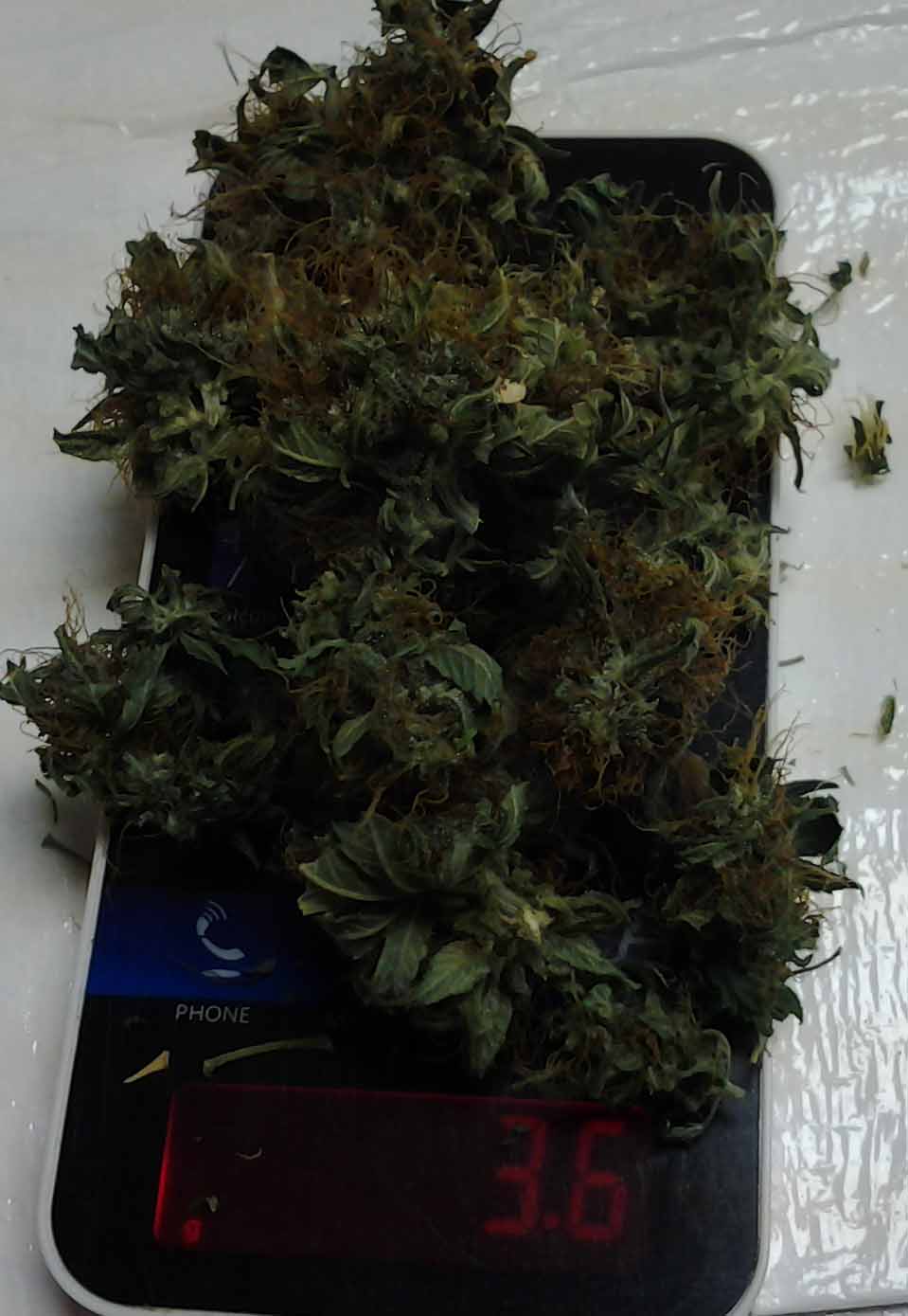 Harvest From Sept Scale2.jpg