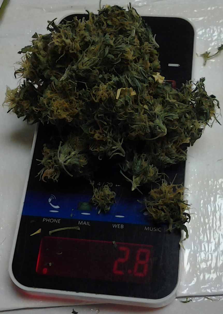 Harvest From Sept Scale1.jpg