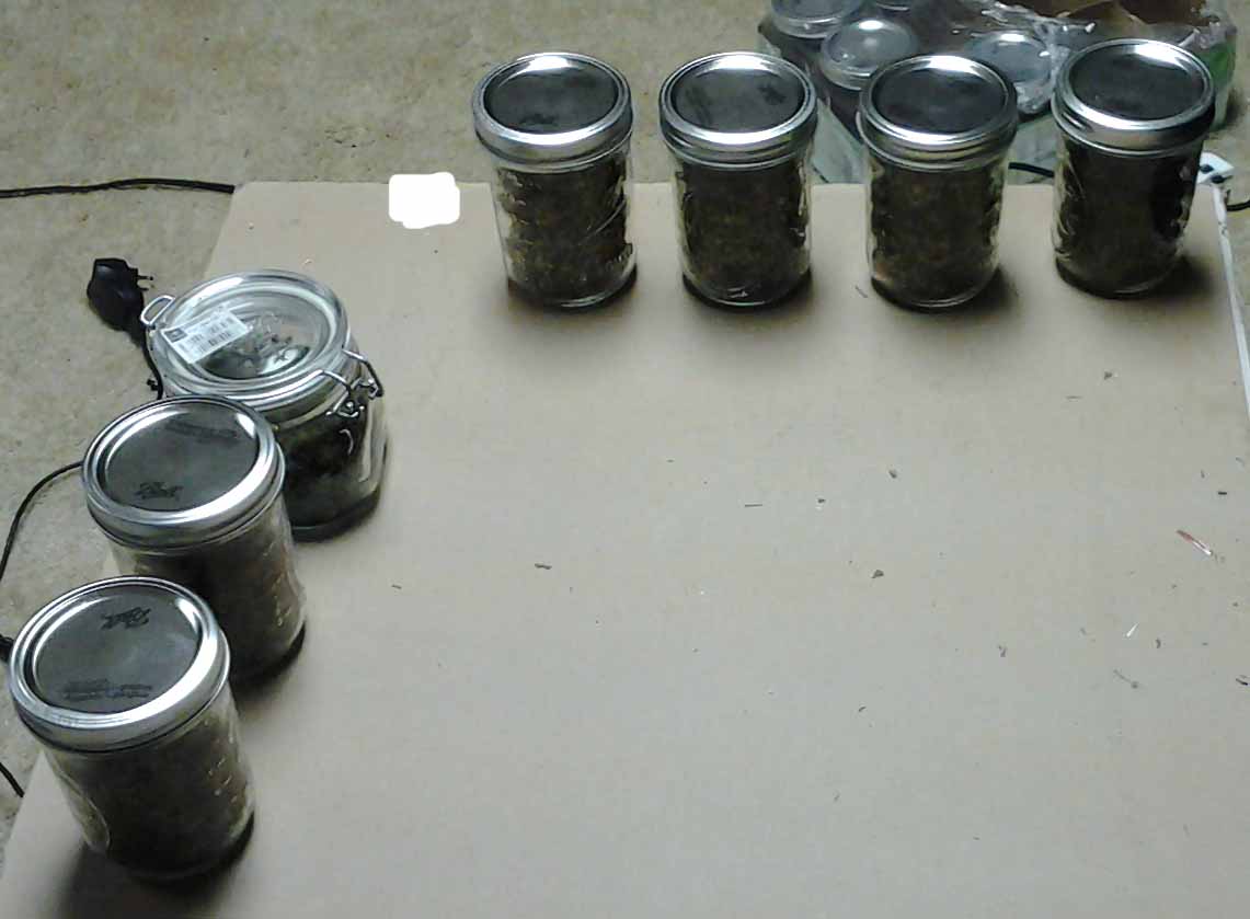 Harvest From Sept Jars2.jpg