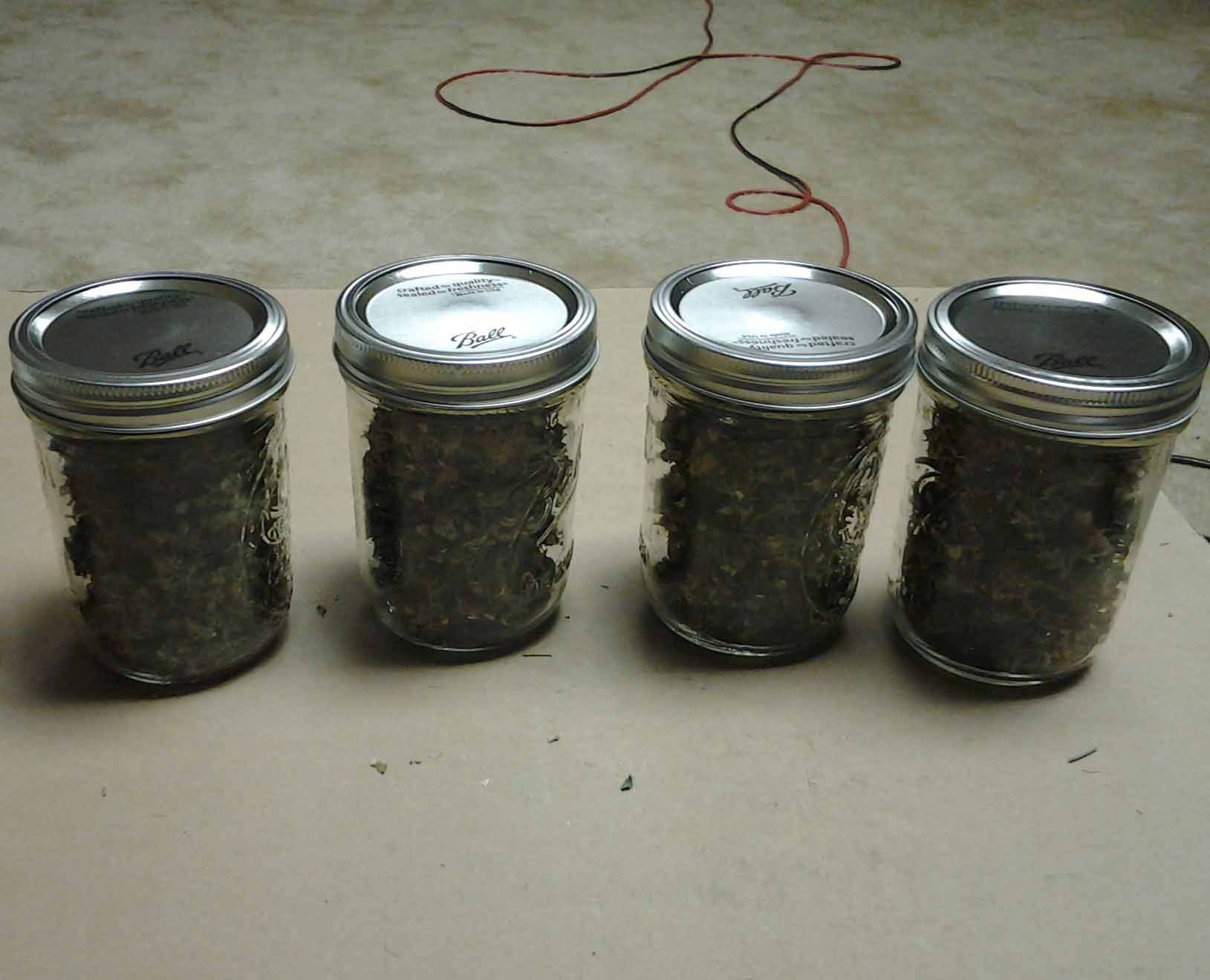 Harvest From Sept Jars1.jpg