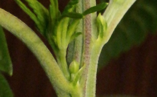 20131029_004504Cr.jpg