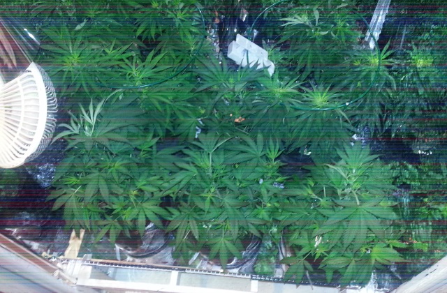 The batch 10-30-13.jpg