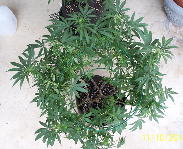 Q2 from the top 11-10-13.jpg