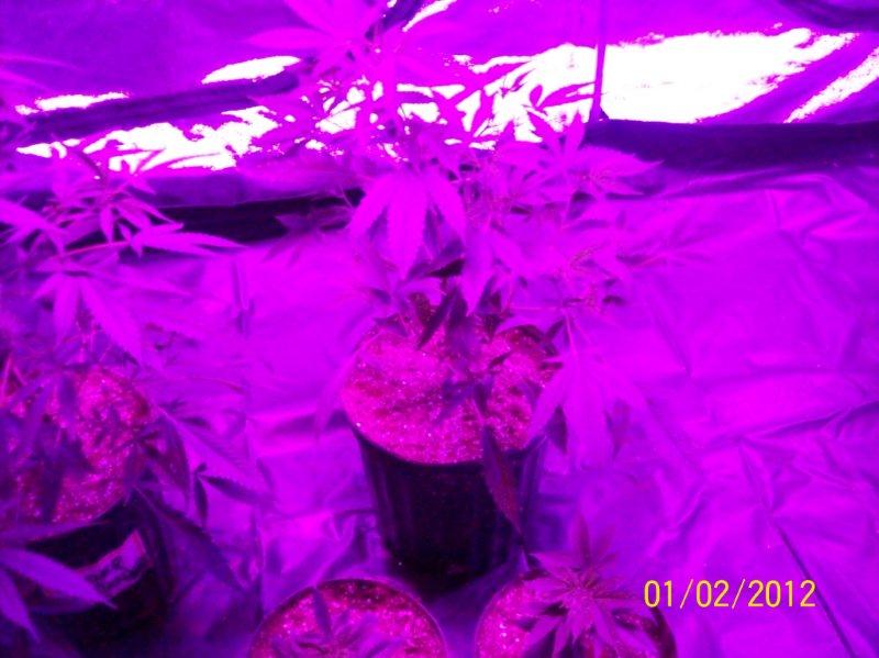 100_5711.jpg