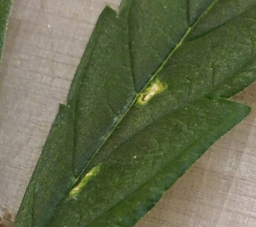 20131030_184632Cr.jpg