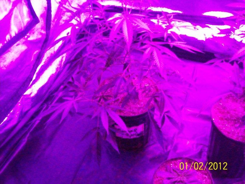 100_5710.jpg