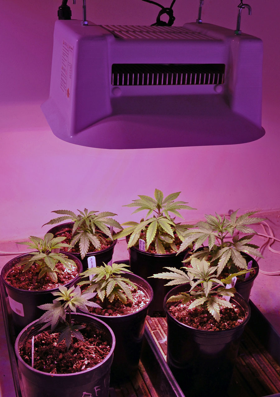 Smartlamp-WK3-1.jpg