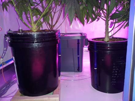20131125_005838Cr.jpg