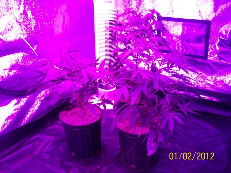 100_5715.jpg