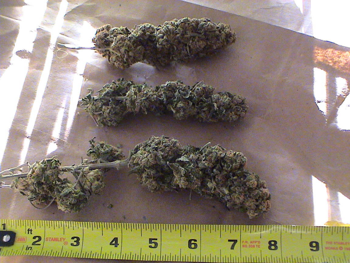Last Grow seasoned.jpg