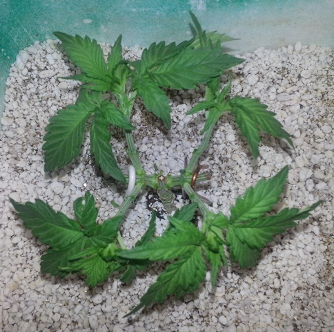 20140113_112814.jpg