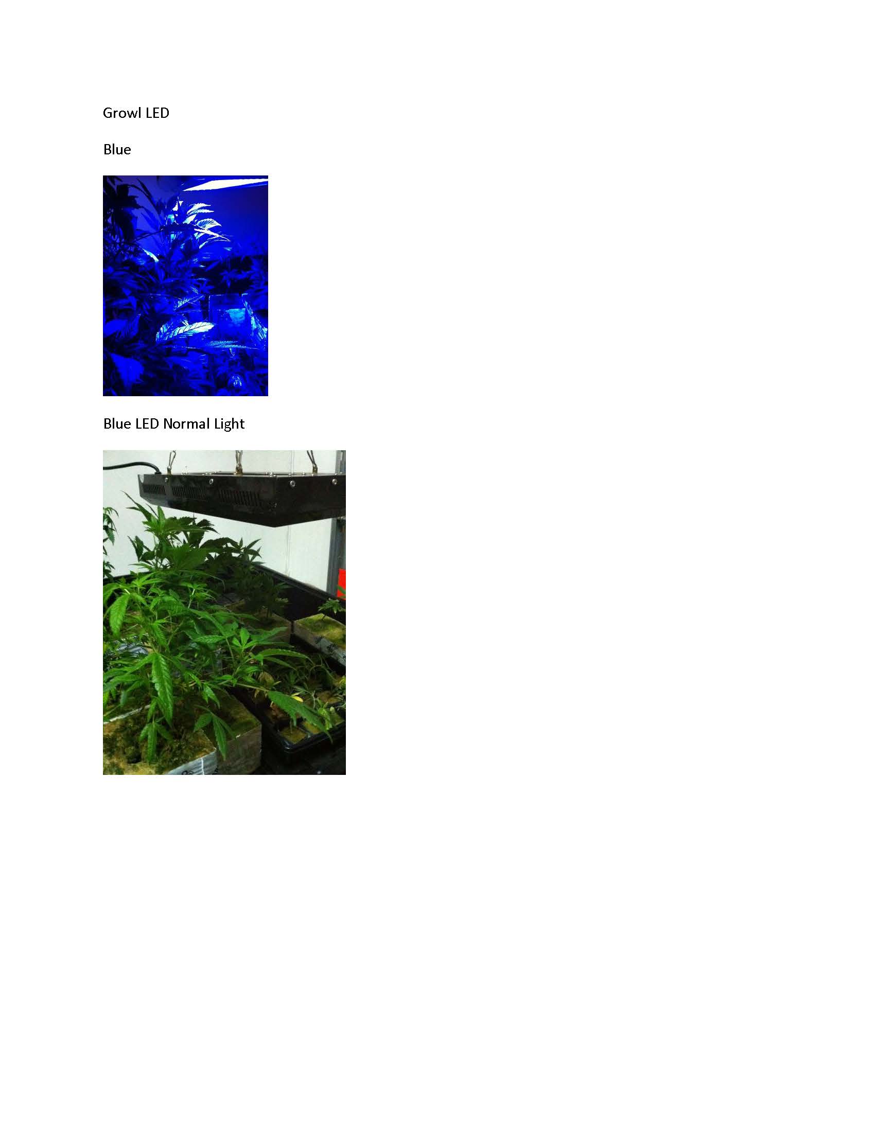 Growl Blue LED  3-27.jpg