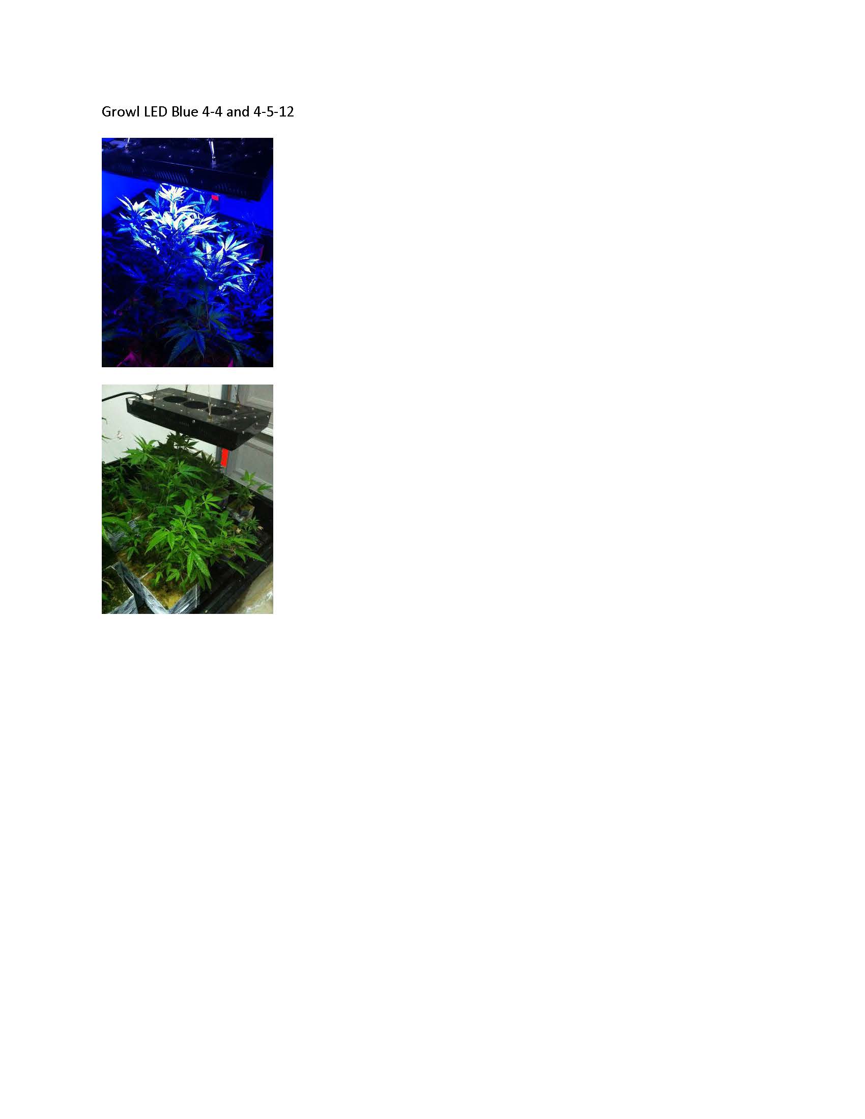 Growl Blue LED 4-4.jpg