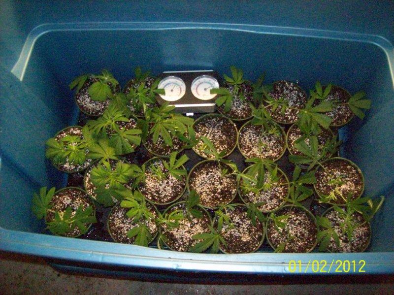100_5720.jpg