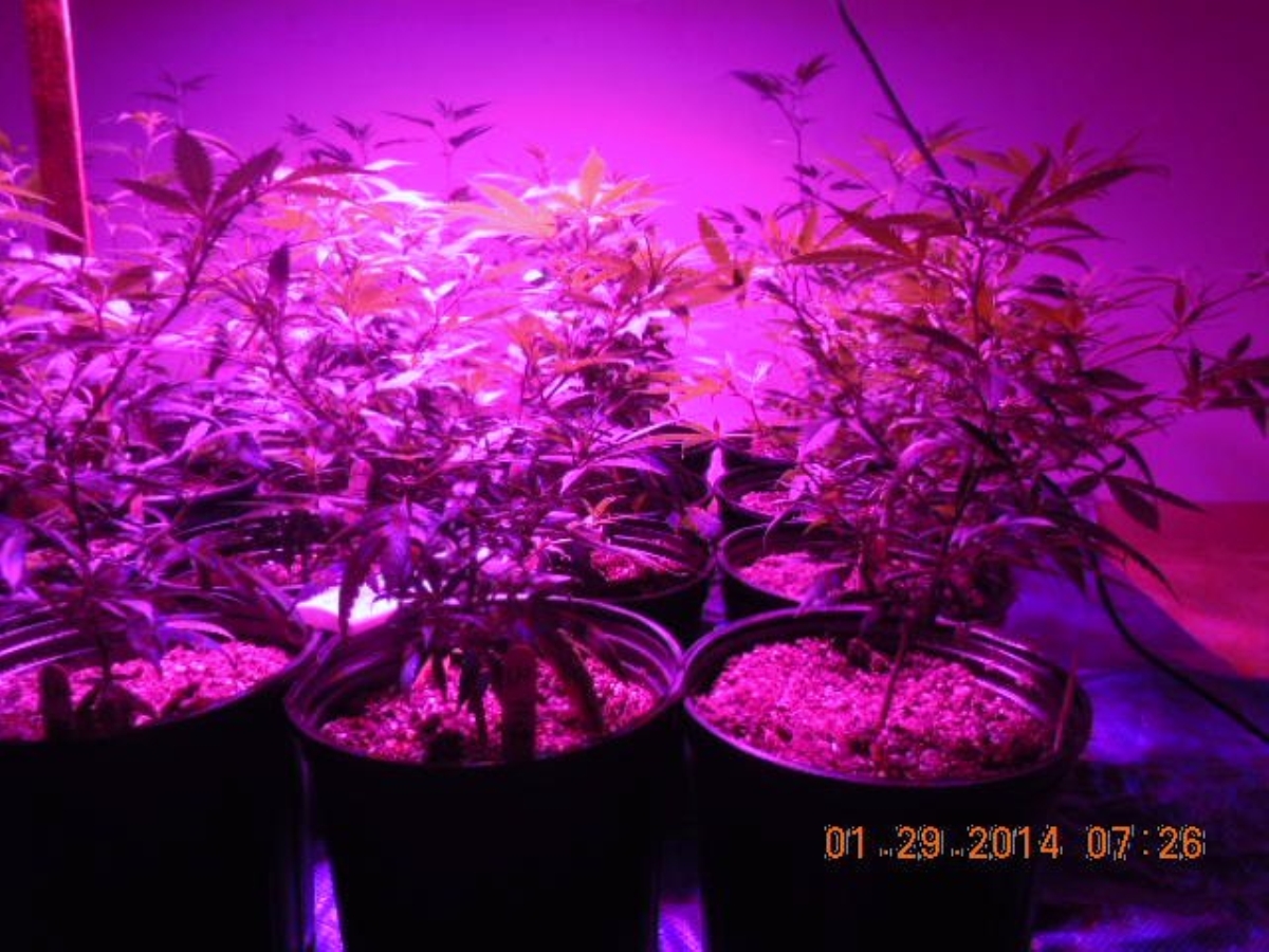 LED 012914 front right chz chz.jpg