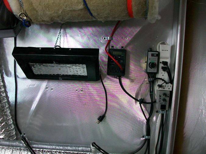 terminater 014.JPG