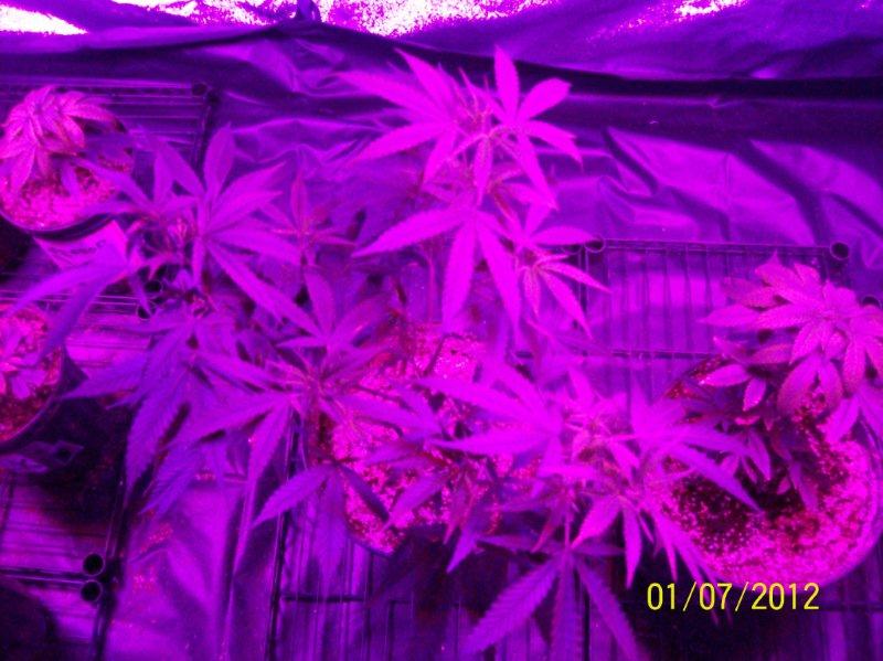 100_5733.jpg
