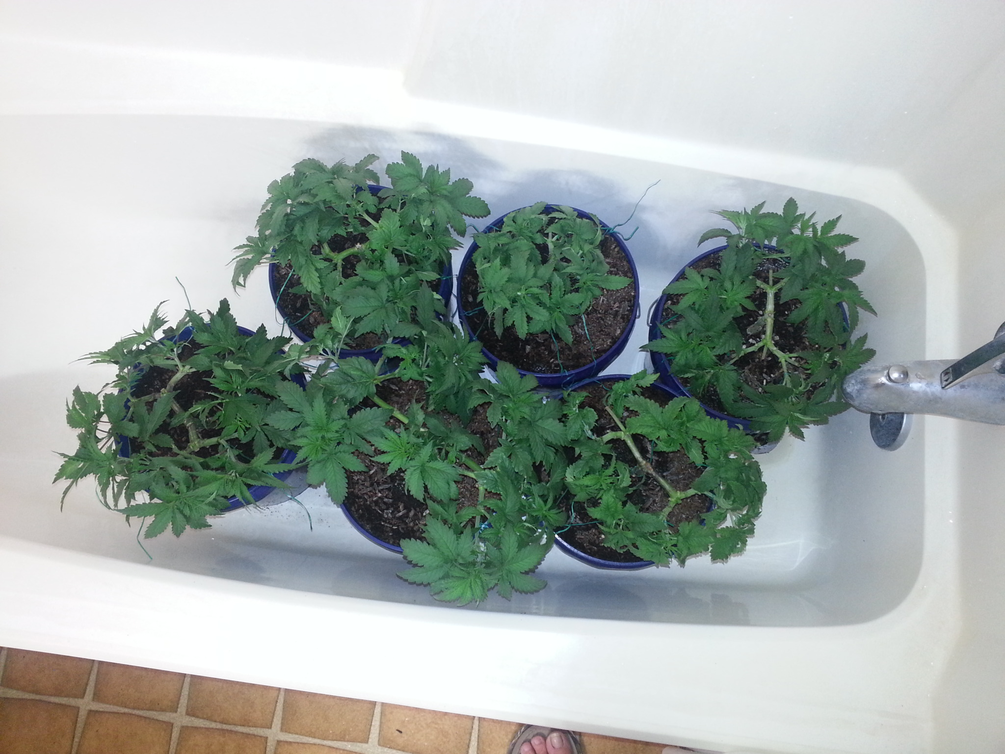 20140906_105804.jpg