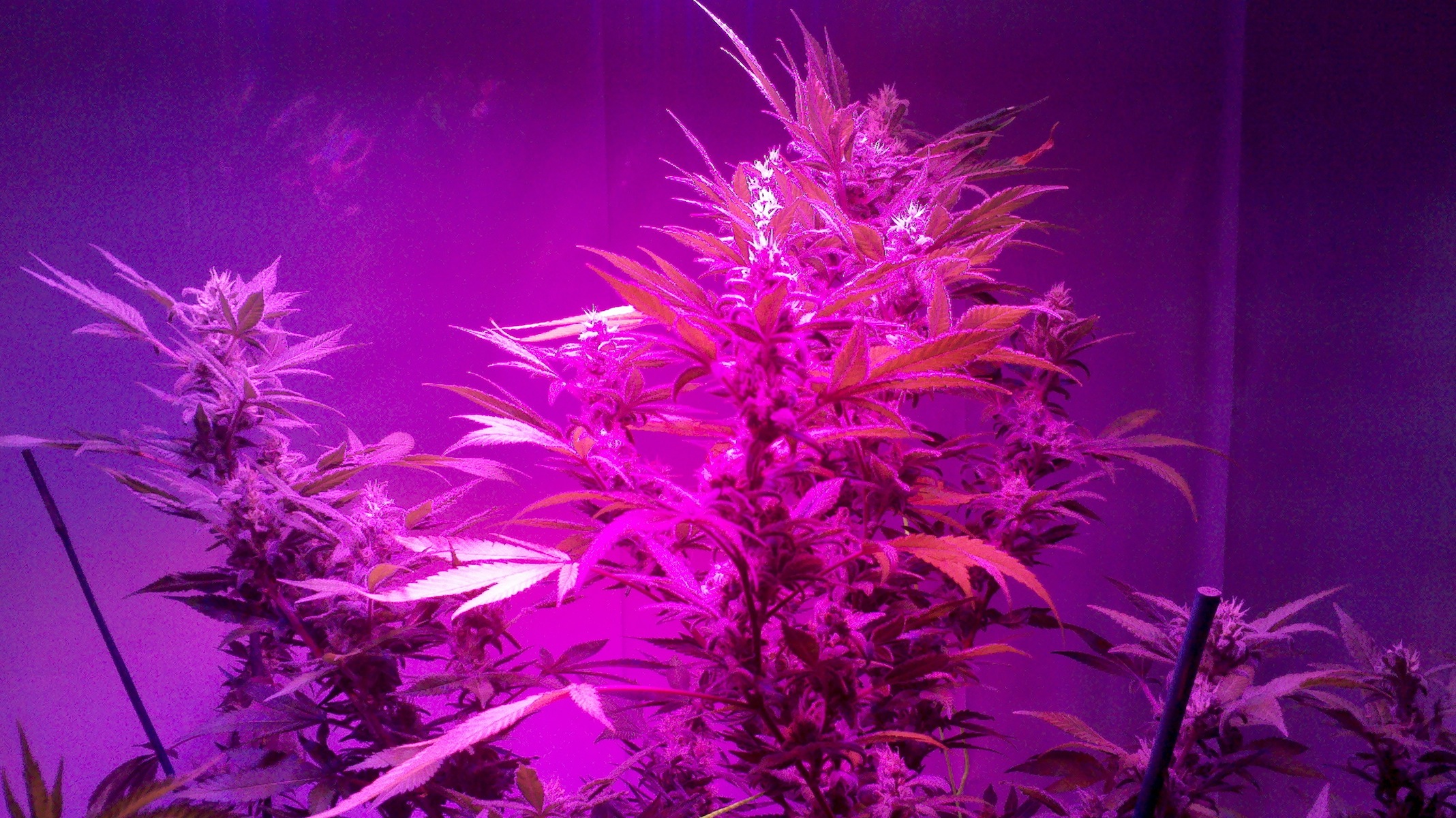 2012-05-16_04-54-17_797.jpg