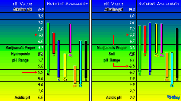 Nutrient_Chart2.gif