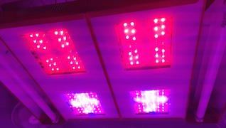 LED panel failure.jpg