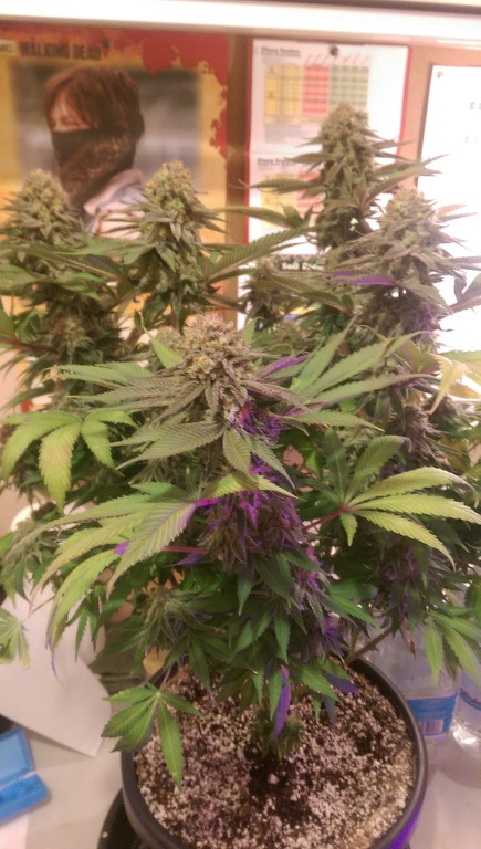 IMAG0579.jpg