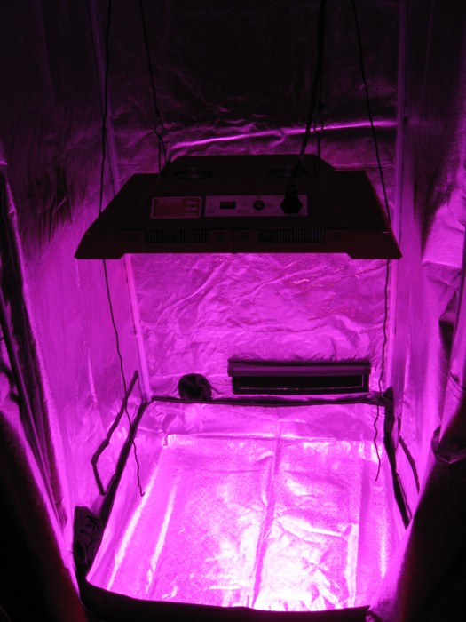 5-19-12 grow tent setup 1.JPG