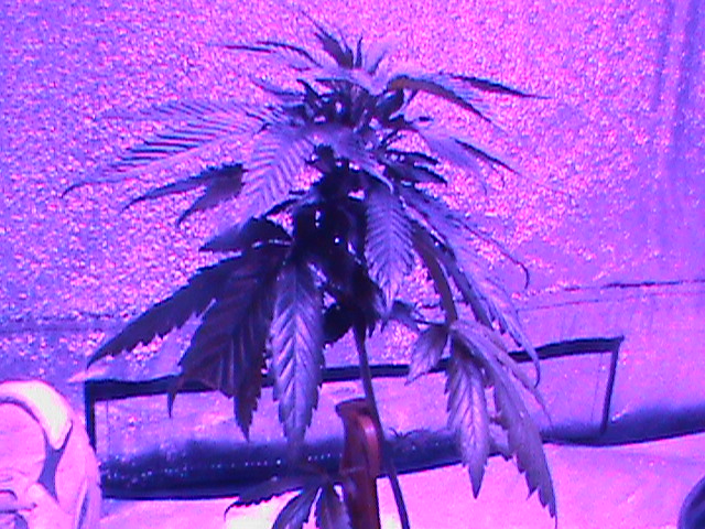 2011-11-10 23.12.18.jpg