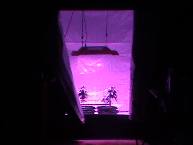 2011-11-15 00.00.53.jpg