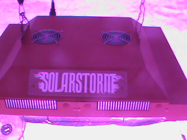 2011-11-15 00.32.06.jpg