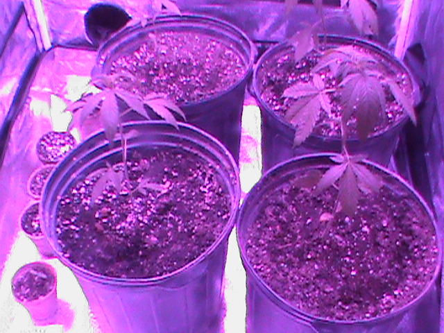 2011-10-31 19.05.46.jpg
