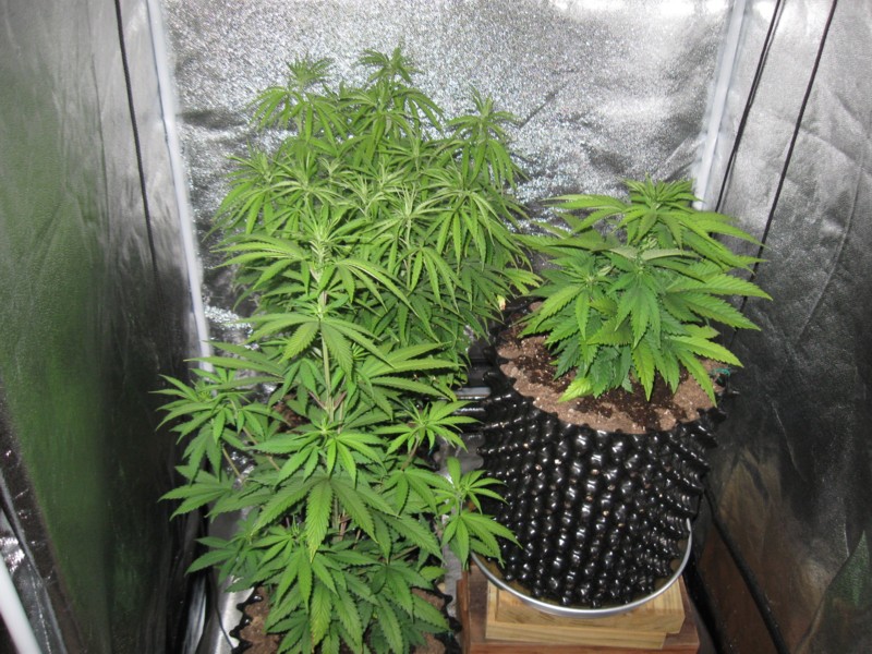 7-14-12 all 2.JPG