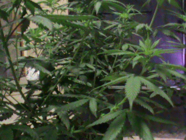 2012-06-20 19.41.57.jpg