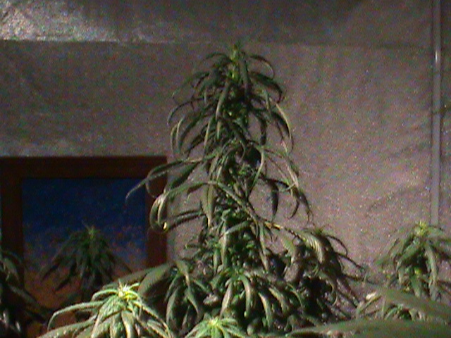 2012-07-15 19.06.45.jpg