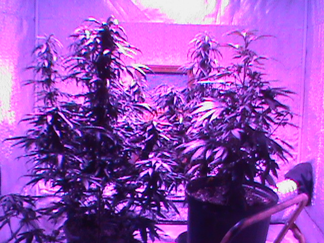 2012-07-15 19.39.48.jpg